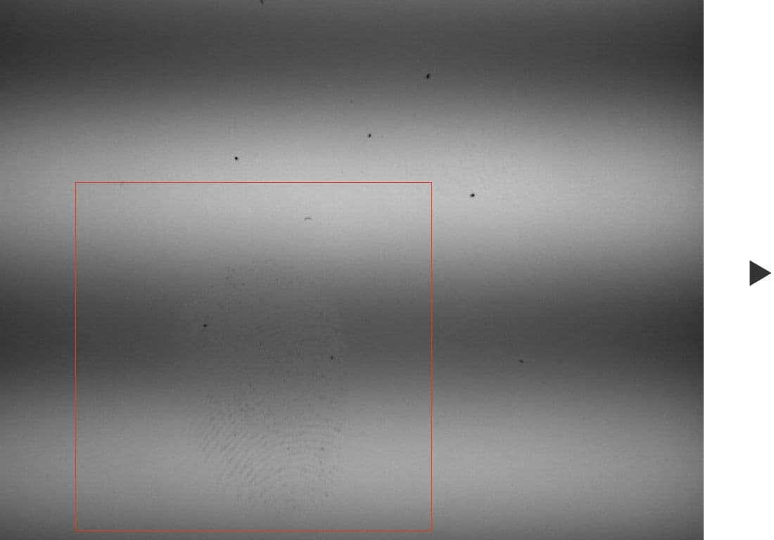 画像検査機 株式会社タワシテック 画像検査機 株式会社タワシテック